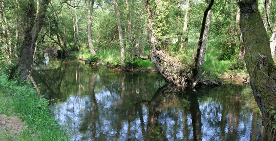 Rio Uncin desembocadura en la Concha de Artedo