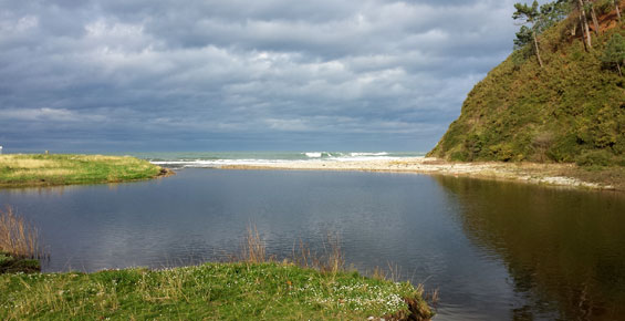 Playa del San Pedro