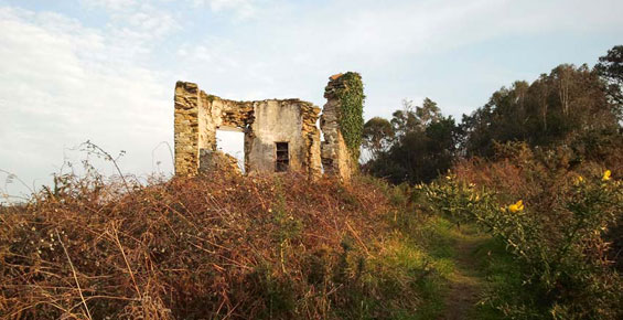 Garita Punta Borona