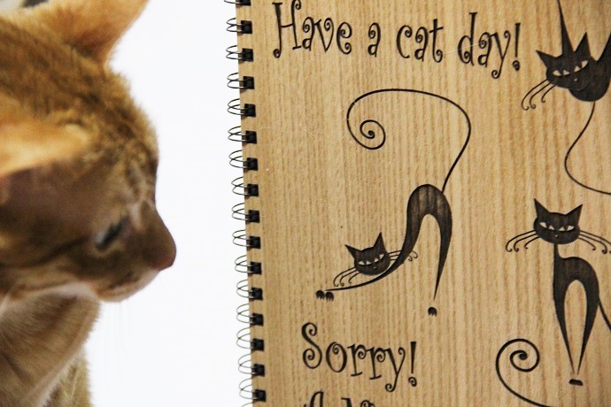 cuaderno a cat day