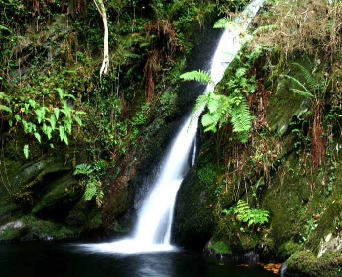 Cascada Gorgullon - en Faedo