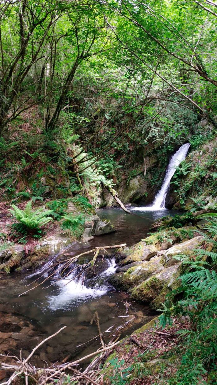 Salto al fondo