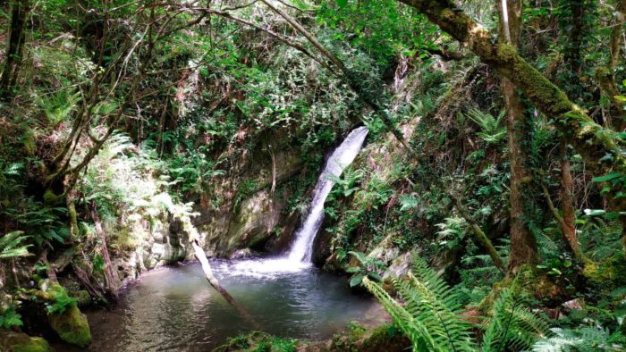 Salto Gorgollón